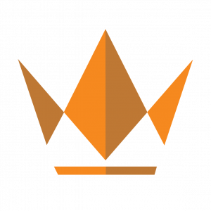 website logo